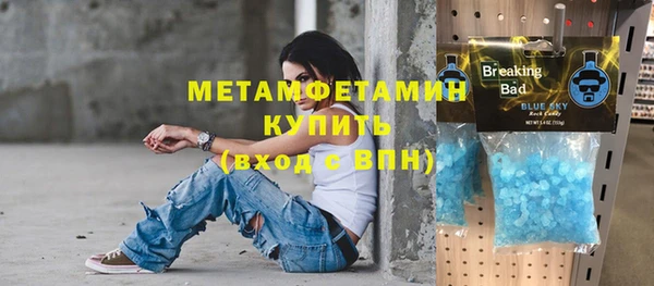 шишки Абаза