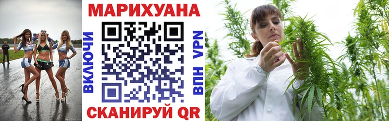 цена наркотик  Чадан  Канабис индика 